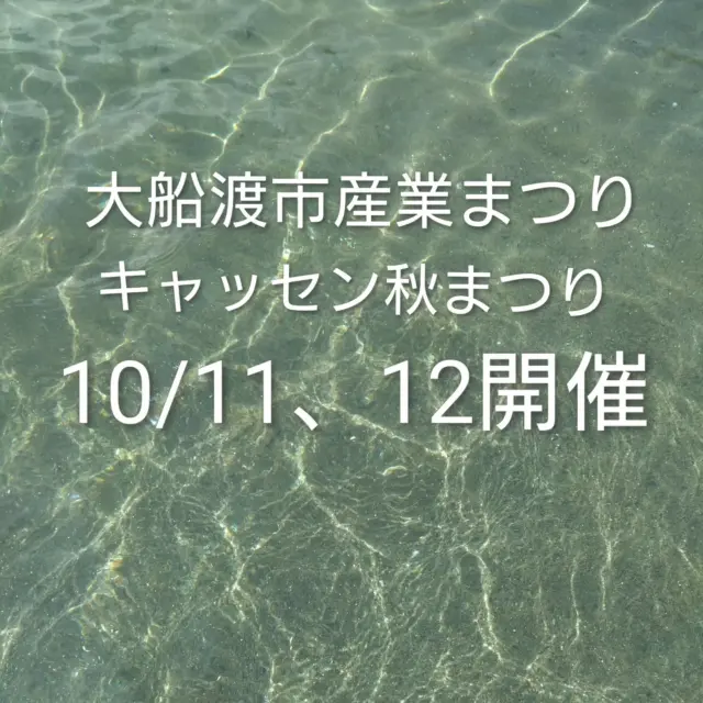 こんばんは🌛
すっかり朝晩は冷え込むようになってきましたね！
明日、あさっては大船渡市産業まつり、キャッセン秋まつりが大船渡駅周辺エリアで開催されます！
お天気が少し心配なところですが、ぜひたくさんの方々にお越しいただきたいと思います🙇✨
会場はどちらも海に近く、風が冷たくなってきましたので、上着が1枚あると良いと思います😊
詳しい情報はそれぞれのサイトへアクセスをお願いします！  皆さまのお越しを心よりお待ちしております🙇  #大船渡インターホテル椿
#ホテル椿
#hoteltsubaki
#大船渡市産業まつり
#キャッセン秋まつり
#10月
#岩手
#東北
#三陸
#大船渡